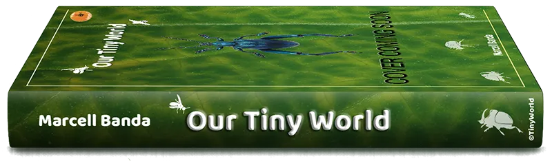 Libro Mundo Pequeño